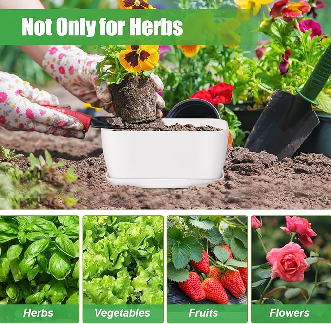 Oliz 6 Set Window Herb Planter Box Rectangular, White Plastic Planters with Multiple Drainage Holes and Trays,Indoor Succulent Cactus Mint Flower Pot for Windowsill, Garden Balcony