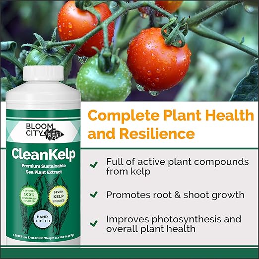 Bloom City Seaweed and Kelp Fertilizer – Liquid Seaweed Supplement for Stronger Roots, Faster Growth & Improved Stress Tolerance, 32 oz