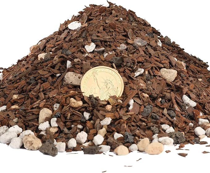 Doter Bonsai Soil Mix Ready to Use (2qt), Premium Fast Draining Organic All Purpose Potting Mix for All Varieties of Bonsai