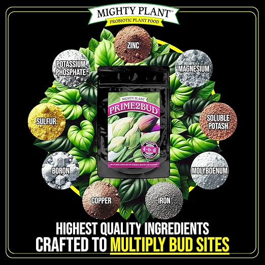 Flowering Bloom Booster Plant Enhancer – Arginine-Powered Growth Formula for Explosive Bloom & Fruit Set | Prime2Bud Ideal for Garden Flowers & Fruit-Bearing Vegetables (5, Ounces)