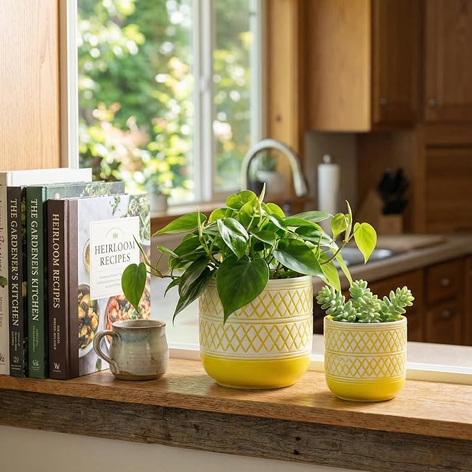 HERDUK Decorative Ceramic Flower Pots Set of 2 – 6 & 4.7 Inch Indoor Plant Pots, Boho Decorative Pots for Plants, Orchid & Succulent Planters with Drainage