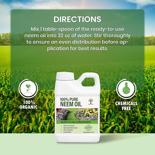 Nature’s Will Pure Ready-to-Use Neem Oil Concentrate | High Azadirachta Content | Just Add Water | Natural Plant Care (8 oz)