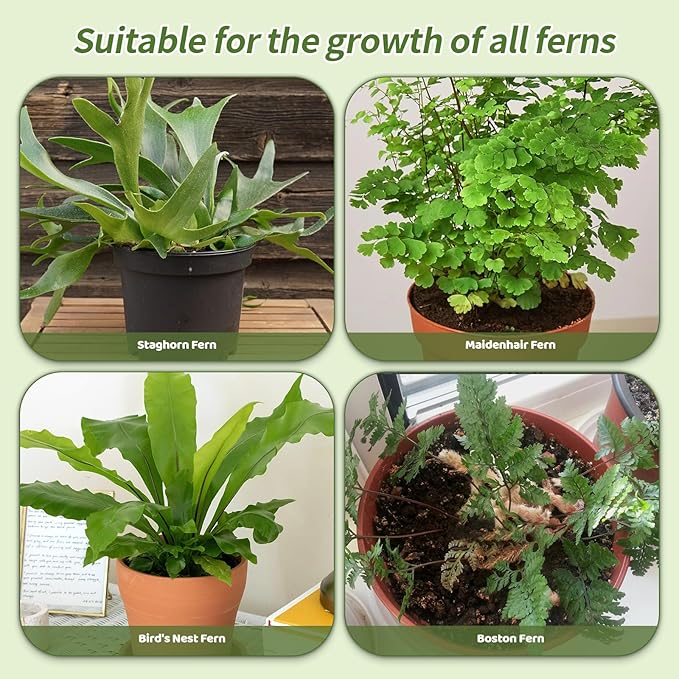 Doter Potting Soil Mix for Fern 1qt, Custom Hand Blended Mixture Suitable for Indoor/Outdoor Potted Fern Plant