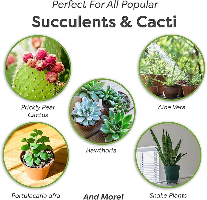 All Natural Succulent and Cactus Soil Mix by Perfect Plants | Made in the USA | 4 Quarts for All Succulent Varieties | Formulated for Proper Drainage