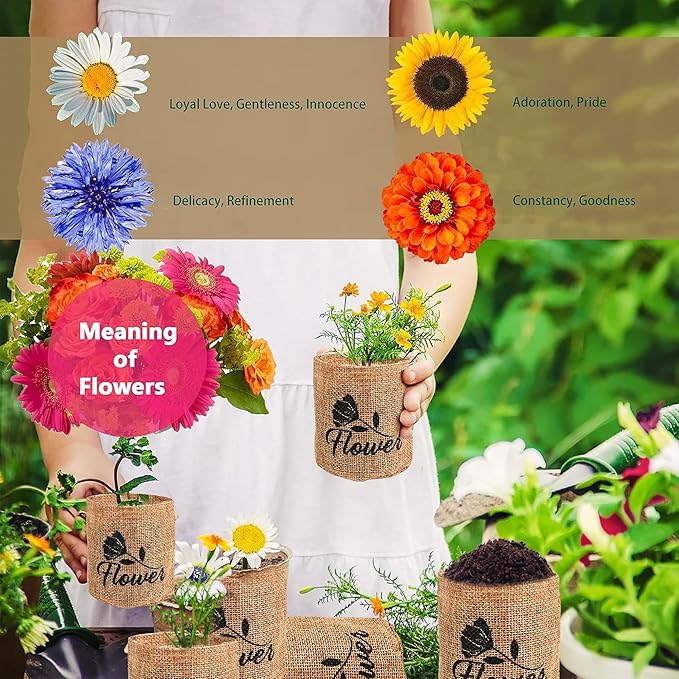 Meekear Indoor Starter 4 Kit with Complete Gardening Kit & Wooden Box, Growing into Shasta Daisy, Cornflower, Sunflower, Zinnia