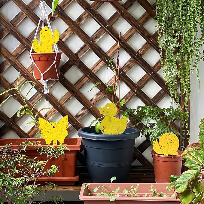 Gideal 24-Pack Dual-Sided Yellow Sticky Traps for Indoor/Outdoor Use, Gnat Trap for Flying Plant Insect Such as Fungus Gnats, Whiteflies, Aphids, Fruit Fly, Leafminers, etc - Cute Shapes