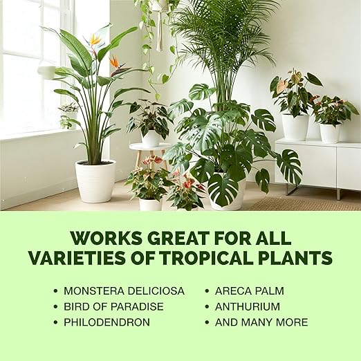Tropical Plant Fertilizer – Liquid Plant Food for Bigger Leaves, Lush Growth & Stronger Roots, 8 oz