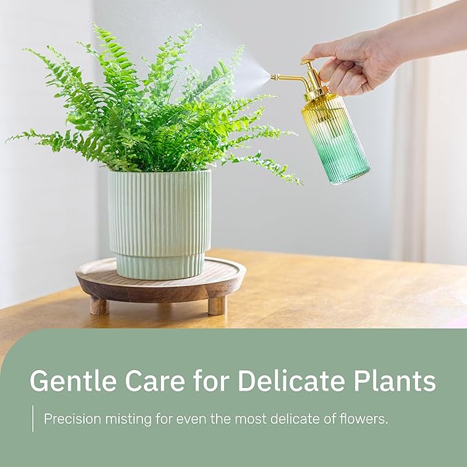 Useful Co. Yellow & Green Glass Plant Mister for inside, Mister for Plants, Plant Sprayer Mister, Decorative Plant Mister Spray Bottle with Adjustable Nozzle for indoor plants (230ml/ 7.8oz)