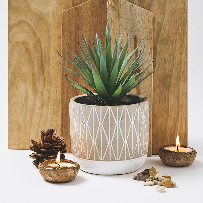 Kurrajong Farmhouse Artificial Plant in Pot - 8" high Small Faux Plant for Desk, Bathroom, Shelf & Coffee Table - Realistic Indoor Plant for Home Decor