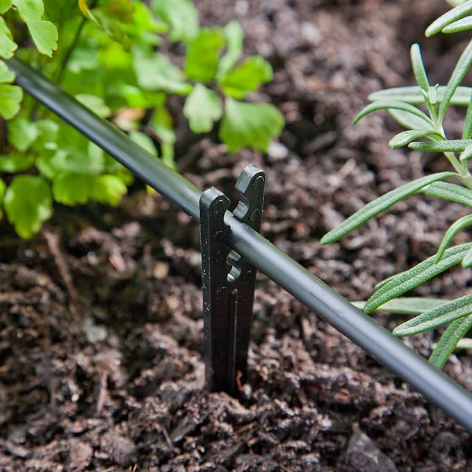 Raindrip 381025B 1/8-Inch - 1/4-Inch Heavy-Duty Tubing Support Stake for Drip Irrigation Supply Tubing and Drip Systems, 6-Inch Long, Plastic, 25-Pack, Black