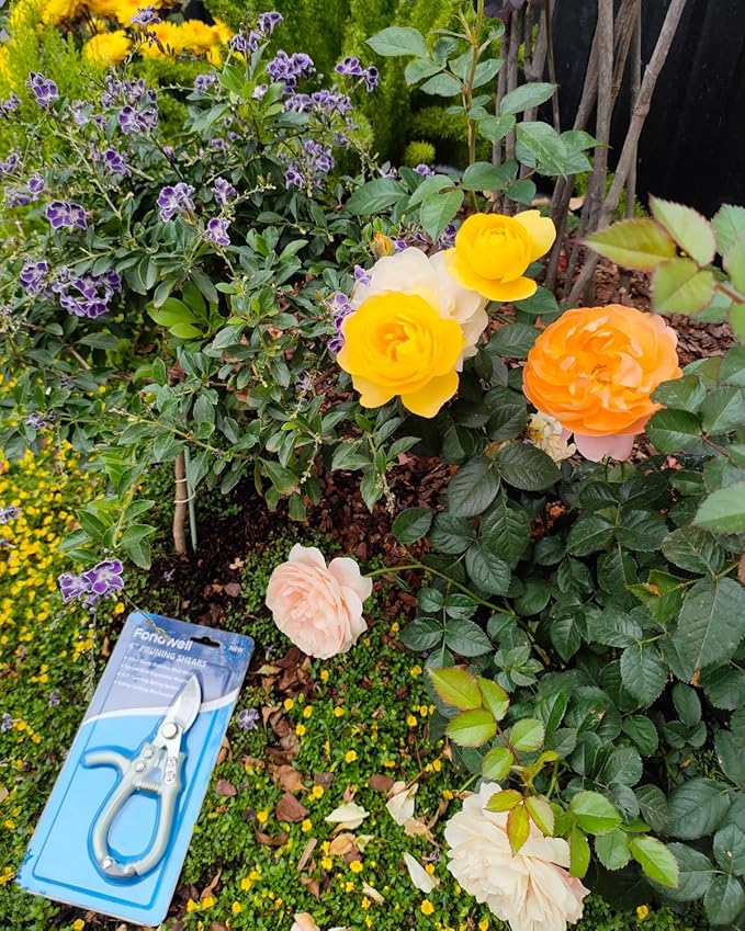 Fondwell 6" Gardening Shears Hand Pruners: Lightweight Garden Trimmers with Bypass Blades - Reliable Bonsai Cutters for Small Plants