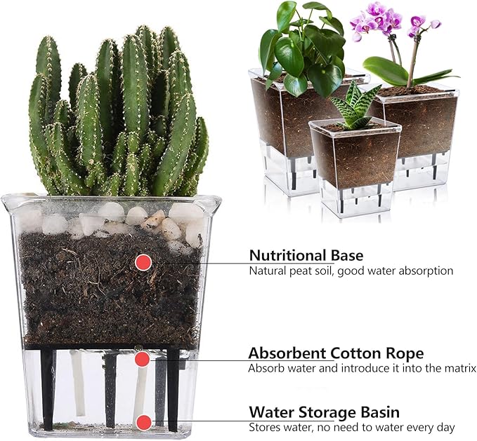 Self Watering Pots Set, 3 Pack Self Watering Pots for Indoor Plants, Clear Planter Pot with Deep Reservoir for Spider Plant, Orchid, African Violet (Clear, 3 Medium)