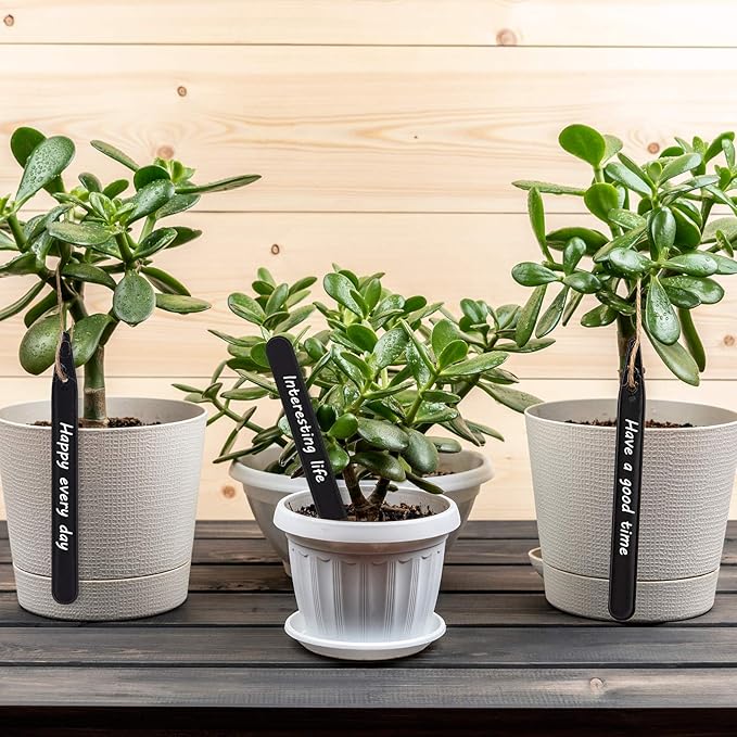 Whaline 200Pcs Thick Plastic Plant Labels Black Waterproof Garden Stake Sign Tags Garden Markers for Outdoor Seedlings Potted Flowers with 2 Marker Pen and A Roll of Twine (6 Inch)