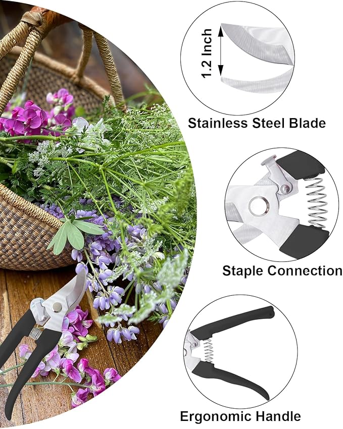 Pruning Shears for Gardening, 1 Pack Garden Scissors for Cutting Fresh Flowers, Floral Clippers for Plants, Fruits (Black)