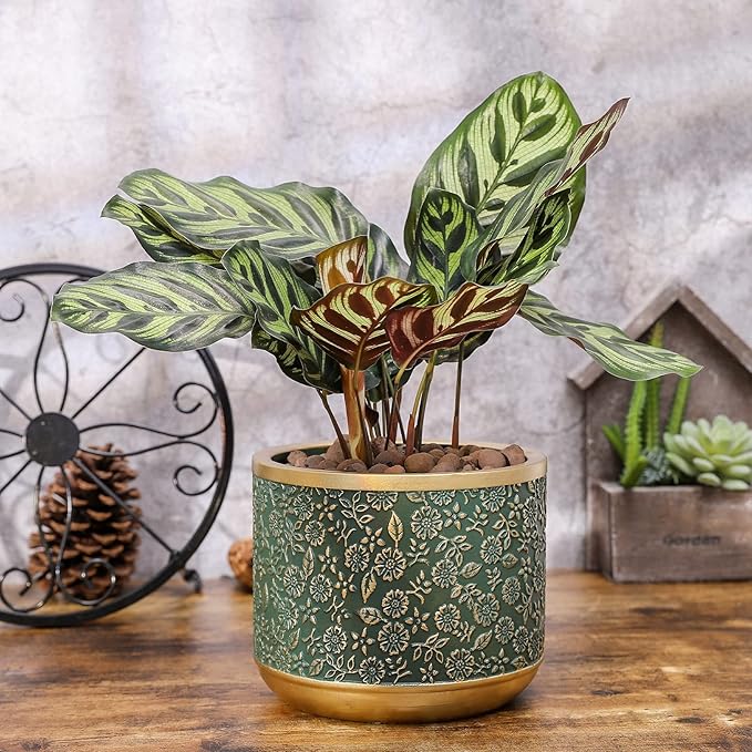 6 +4.4 Inch Cement Planter Decorative Pots with Drainage Hole for All House Plants, Succulents, Flowers, and Cactus (Green)