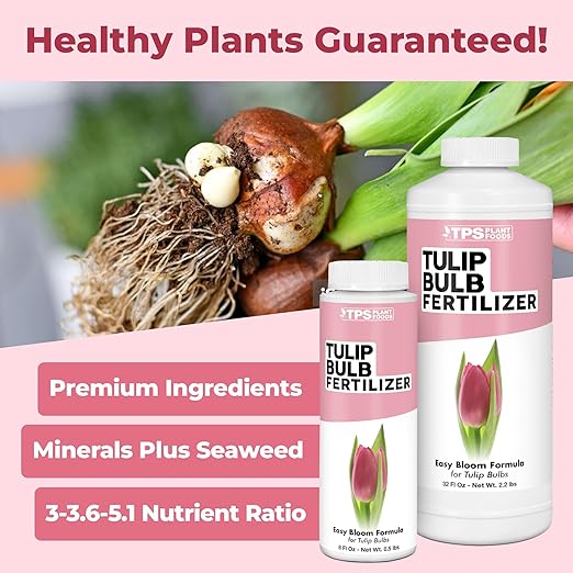 Tulip Bulb Fertilizer – Liquid Plant Food for Bigger Blooms & Stronger Bulb Development, 32 oz