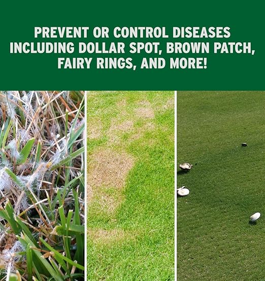 The Andersons Prophesy Propiconazole Broad Spectrum Fungicide on DG Pro, 25lbs (up to 10,000 sq ft.)