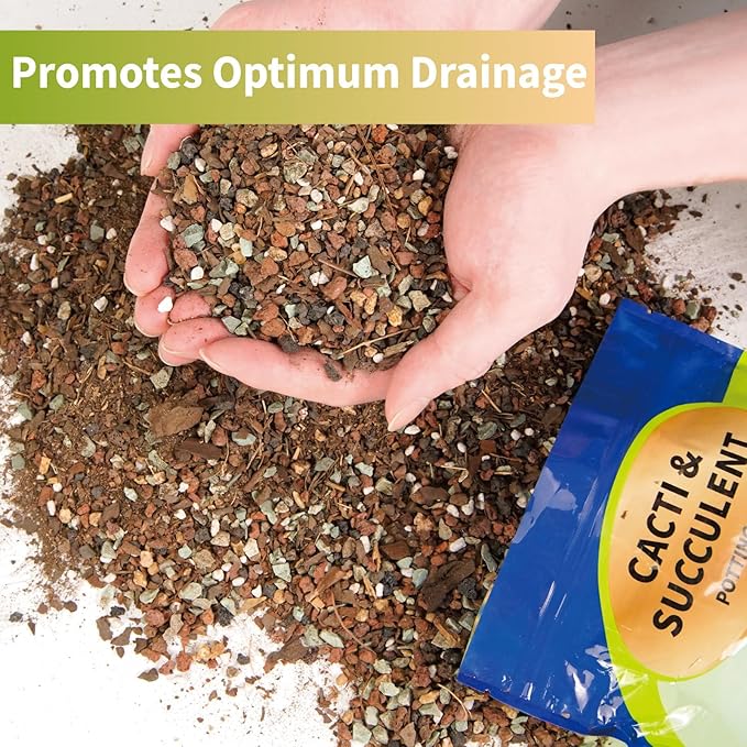 Doter Succulent & Cactus Soil Potting Mix 1qt, Chunky Dirt with Fast Draining Fits for Bonsai, Terrarium and Houseplant