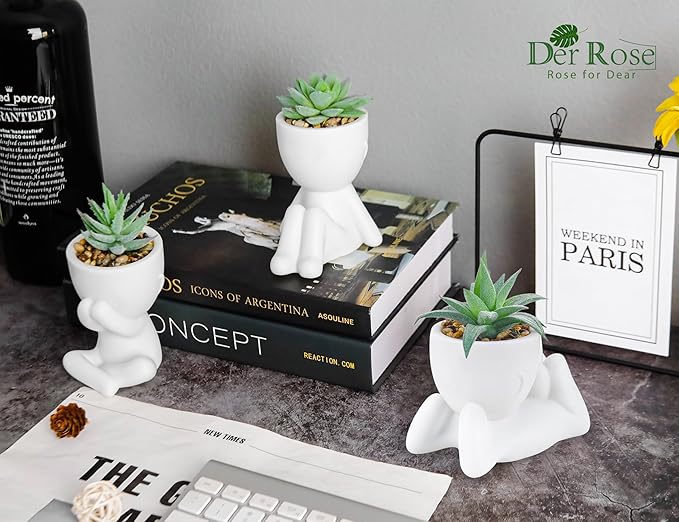 Der Rose 3 Pack Fake Plants for Office Desk Accessories Artificial Succulents Plants for Room Bathroom Home Decor for Women