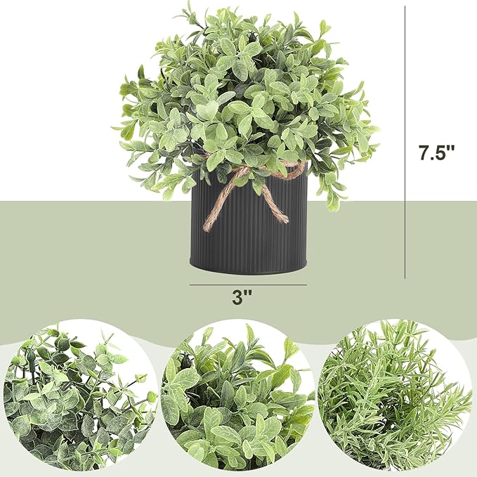 Mkono 3 Pack Small Fake Plants in Black Galvanized Metal Pots Artificial Eucalyptus Plants for Christmas Decorations Shelf Desk Home Farmhouse Room Coffee Table Bathroom Decor