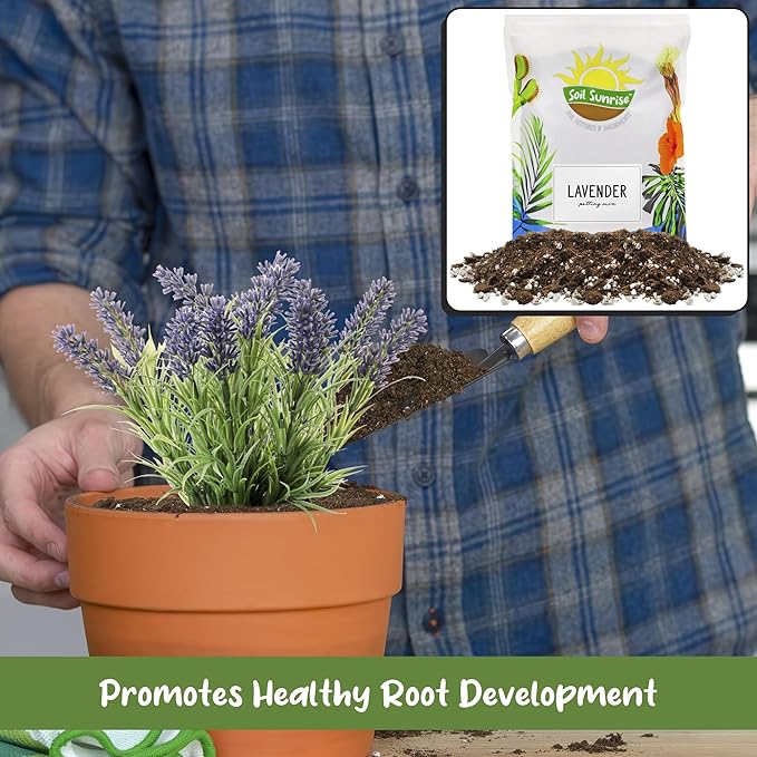 Soil Sunrise Lavender Potting Soil Mix (8 Quarts) Indoor/Outdoor Container Gardening Blend for Lavender Herb Plants