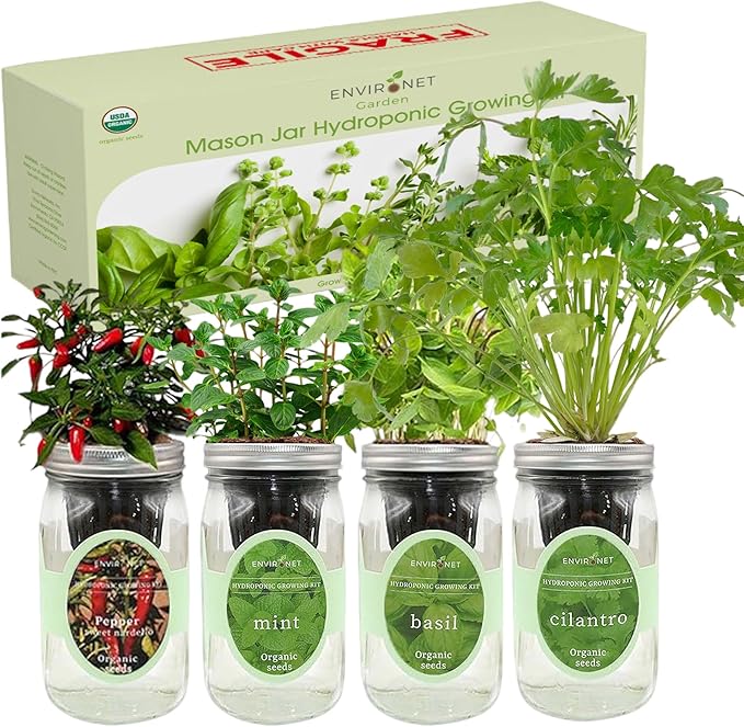 Hydroponic Mason Jar Indoor Garden Organic Seed Starter Kits - Taste of Asia Garden Growing Kits, Gardening Gift (Sweet Nardello Pepper, Mint, Thai Basil, Cilantro)