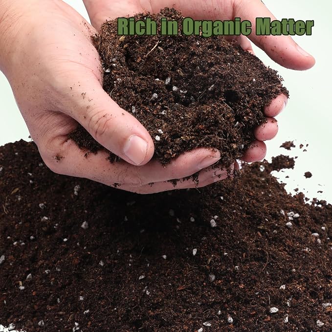 Doter Potting Soil Mix for Fern 1qt, Custom Hand Blended Mixture Suitable for Indoor/Outdoor Potted Fern Plant