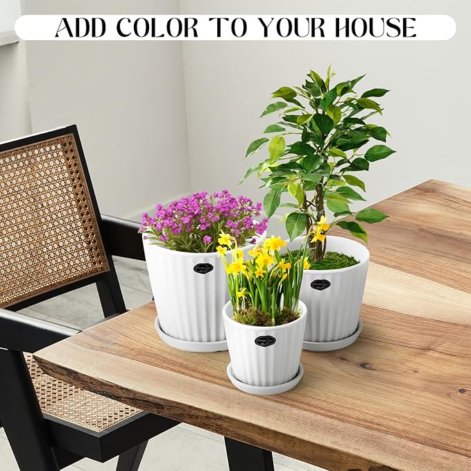 3 Pcs Ceramic Plant Pots 7.3/6/4.7 Inch Ceramic Flower Pot with Drainage Hole and Saucer Decorative Planter Indoor Outdoor for Gardening Home Desktop Office Windowsill Decoration Gift(White)