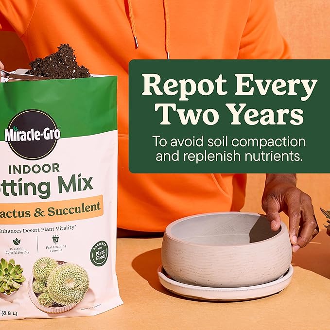 Miracle-Gro Indoor Potting Mix (8 qt.) and Indoor Plant Food (8 fl. oz.) for Cactus & Succulent - Bundle for Growing and Fertilizing Indoor Cacti and Succulents