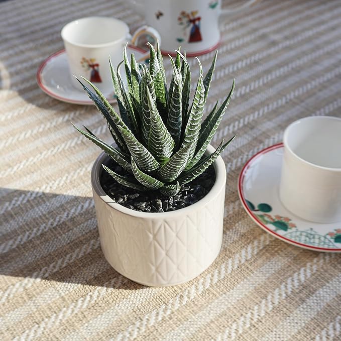 Jahe Aloe Plant Artificial Plants Indoor, 6.7'' High Faux Plants Indoor, Realistic Looking Artificial Succulent in Ceramic Pot, As a Gift for Women, Suitable for Room, Bathroom, Living Room, 1 Pack