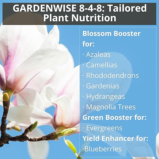 GARDENWISE 8-4-8 Acidic Fertilizer for Azaleas, Camellias (Camelia), Hydrangeas, Blueberries, Gardenias, Magnolia Trees, Evergreens, and Rhododendrons - Ideal Iron-Rich Plant Food (1 Quart)