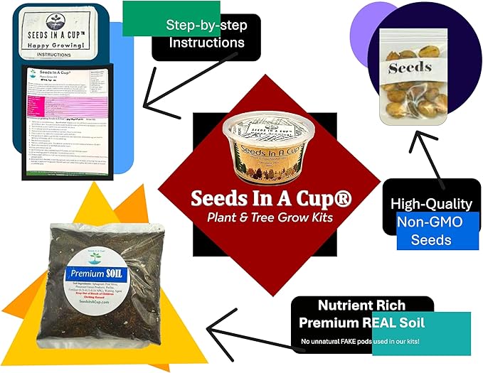 Seeds In A Cup® Plant Grow Kit – 60+ Varieties of Vegetables, Herbs & Flowers | Indoor & Outdoor Seed Starter for Kids & Adults | Grow Your Own Garden | Gardening Gift (Black-Eyed Susan)