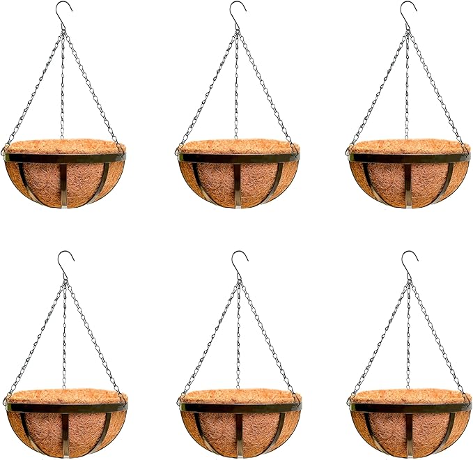 LaLaGreen Outdoor Hanging Baskets for Plants (10 Inch, 6 Pack) Small and Cute Wire Hanging Planters with Coco Liner, Black Metal Flat Iron Flower Pots for Deck Porch Patio Garden Balcony Outside Decor