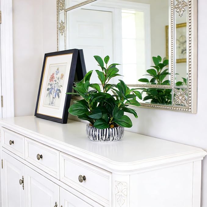 NASAMA Realistic Artificial Potted Plant, Faux Indoor Greenery for Home Office Living Room Bookshelf Bathroom Decor, Low-Maintenance Space-Saving Fake Plants with Modern Decorative Vase