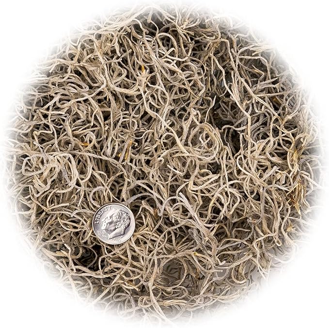 Gardenera Premium Natural Spanish Moss | Natural Preserved - Great Ground Cover - Filler for Potted Plants - 2 Quart Bag (GRD-SPANISH-MOSS-2QT)