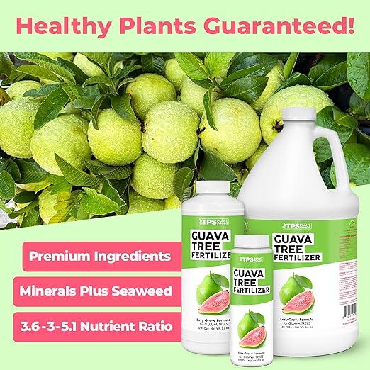 Guava Tree Fertilizer – Liquid Plant Food for More Fruit, Better Flowering & Stronger Root Development, 1 Gallon