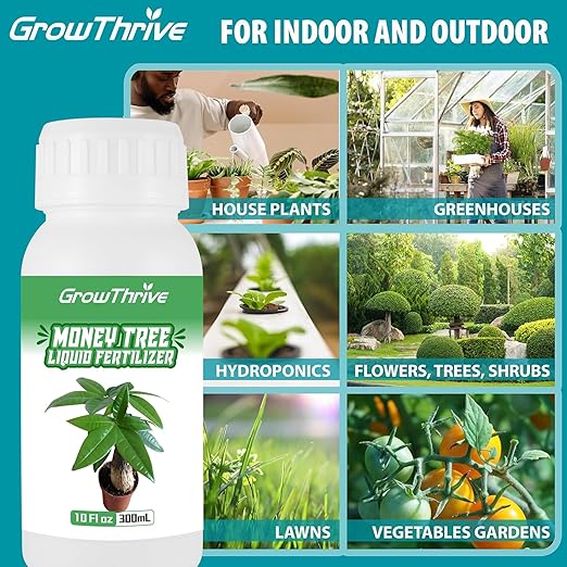10 oz Organic Money Tree Fertilizer Liquid - Microbial Probiotic Plant Food for Pachira Aquatica & Houseplants - Promotes Root Growth & Green Leaves