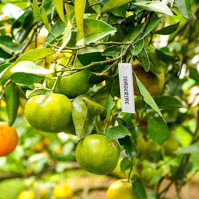 50 Pcs Metal Plant Tags, Aluminum Plant Labels with Metal Wire Double Sided Write Labels Hanging Plant Tags Waterproof Tags Metal Tags for Plant Markers Tree Tags Outdoor Garden Plant Mark