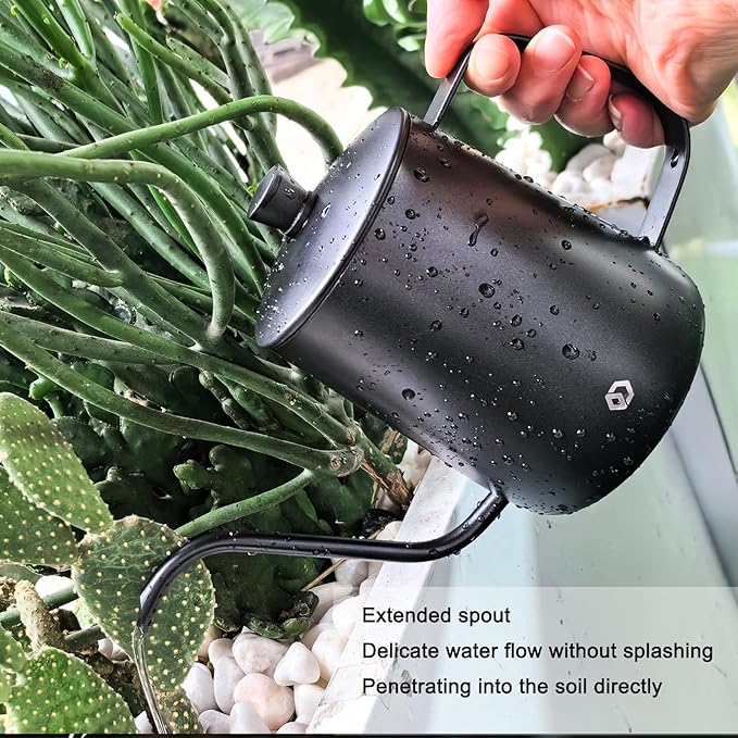 OFFIDIX Watering Can for Indoor Plants,Long Spout Metal Stainless Steel 21 oz Watering Can with 14 oz Glass Plant Mister Spray Bottle for Plant Bonsai