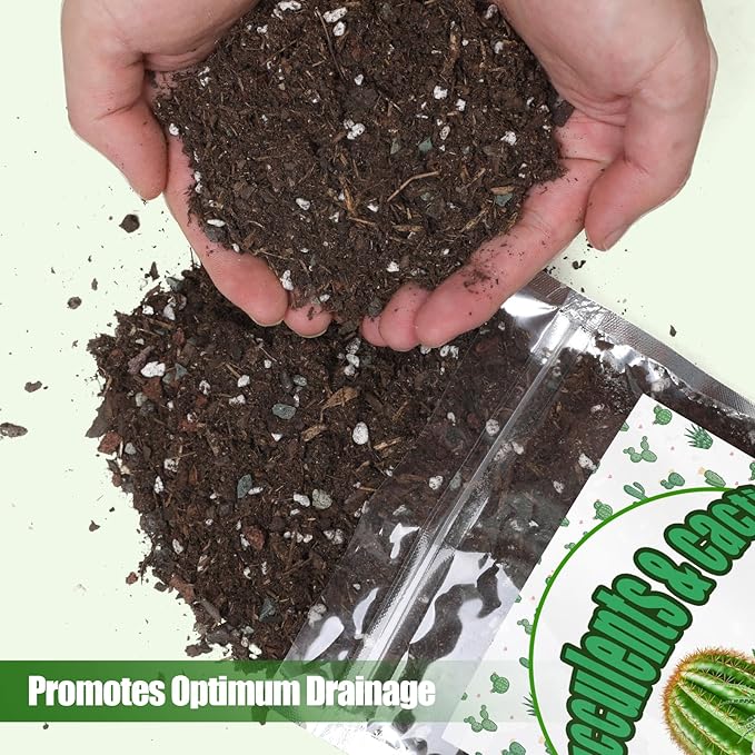Doter Cactus & Succulent Soil Mix 2qt, Chunky Well-Draining Soil for Indoor Plants - Spike & Bloom