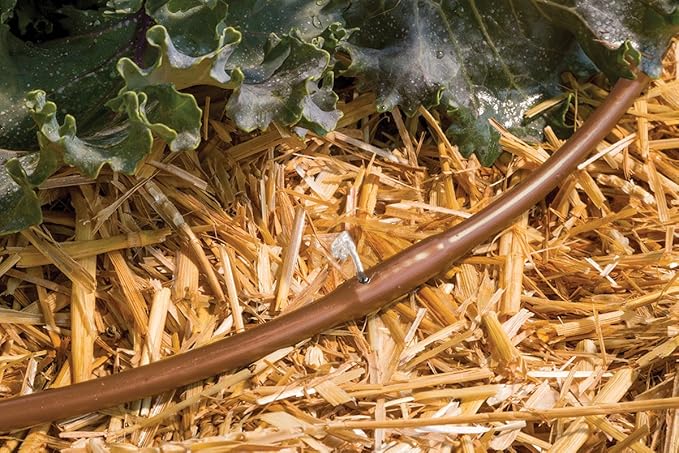 Rain Bird ET256-50S Drip Irrigation Pressure Compensating 1/4" Emitter Tubing, 6" Emitter Spacing, 50 Roll, Brown