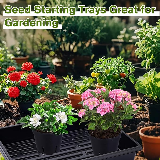 Dualshine Seed Starter Tray Kit - 60-Pack 3.4 Inch Round Nursery Pots with Drainage Holes, 5 Seedling Trays, 100 Plant Labels & 2 Transplanting Tools for Vegetables, Flowers, Herbs Seed Starting