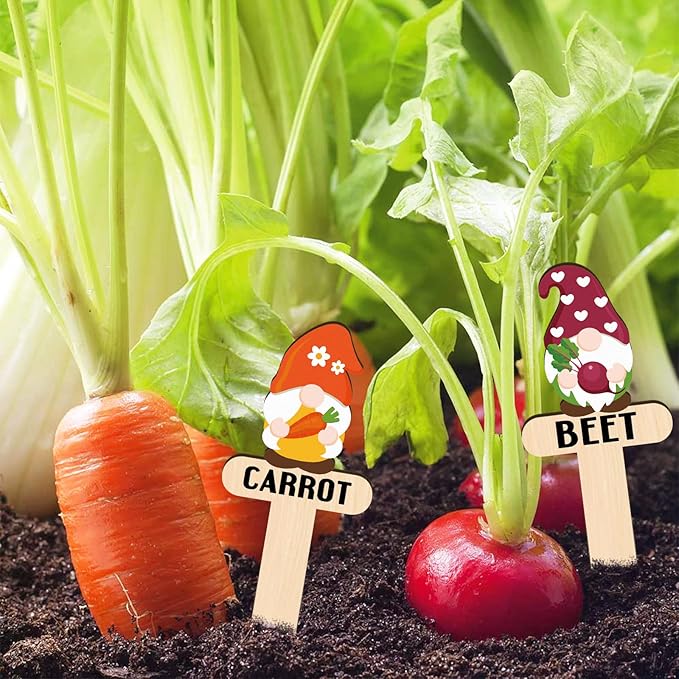 Huray Rayho Wooden Plant Markers for Garden, Funny Gnome Vegetable Labels Outdoor, Decorative Garden Stakes for Vegetables, Cute Plant Tags for Indoor Outdoor Garden, Gifts for Gardeners, 15 Pack