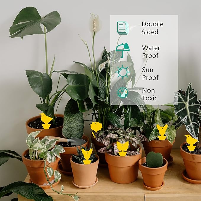 96 Pcs Sticky Traps for Fruit Fly,Whitefly,Fungus Gnat,Mosquito and Bug,Yellow Sticky Insect Catcher Traps for Indoor/Outdoor,Insert/Hang,Extremely Sticky Fly Trap,Non-Toxic,Odorless,4 Shapes…