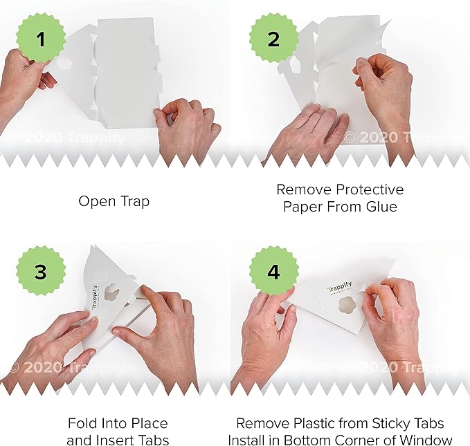 Trappify Window Fly Trap Indoor | Fruit Fly Traps for Indoors | Gnat Traps for House Indoor | Disposable Trap with Sticky Adhesive Strips | Bug Catchers (8 Pack)
