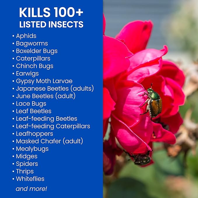 BioAdvanced Rose and Flower Insect Killer, Ready-to-Use, 24 oz (Pack of 2)
