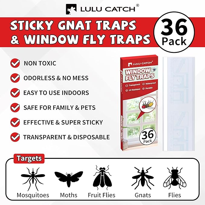 LULUCATCH Window Fly Trap, 36 Pack Fruit Fly Traps for Indoors, Sticky Gnat Trap Bug Trap, Non-Toxic Odorless Flying Insect Trap, Pet Safe Bug Catcher for Fruit Fly, Mosquitos, Fungus & Flying Insect