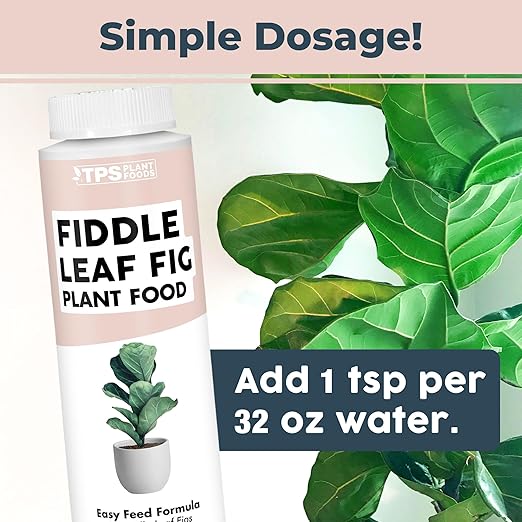 Fiddle Leaf Fig Plant Food – Liquid Plant Food for Bigger Leaves, Stronger Roots & Healthy New Growth, 8 oz