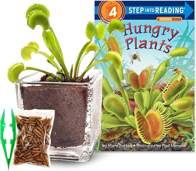 Nature Gift Store Venus Fly Trap Live Plant in 2.5" Glass Cube Pot with Educational Book, Venus Fly Trap Food, Feeding Tweezers - Carnivorous Plants Soil and Live Venus Flytrap