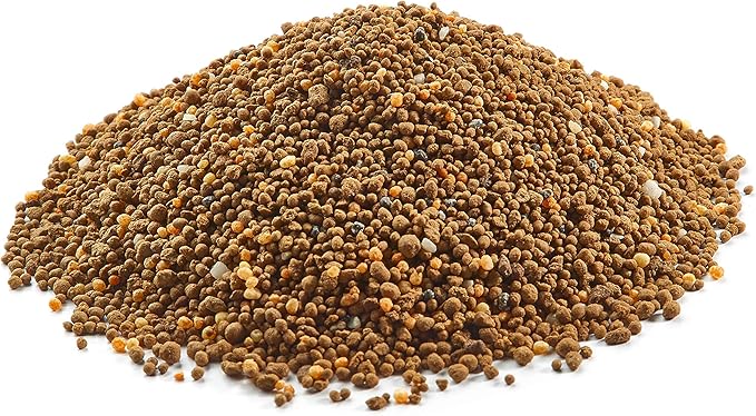 BioAdvanced 12 Month Tree & Shrub Protect and Feed Granules - Apply & Water In - Insect Control and Plant Food - Up to 12 Months Protection - 10 lb Bottle